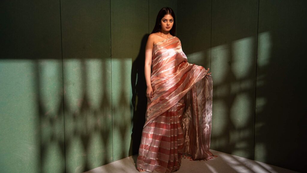 What is Tissue Silk Saree