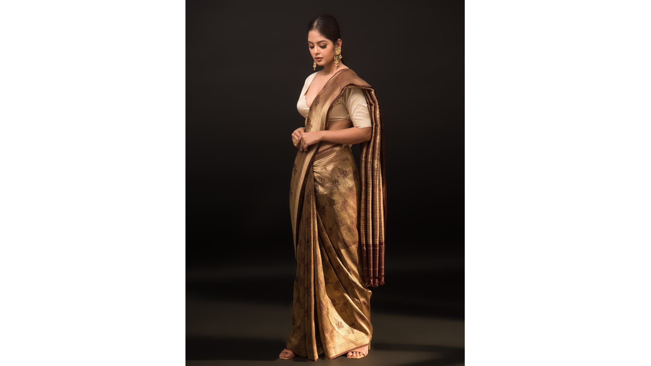 Brown Katan Silk Shikargah Brocade Handloom Banarasi Saree