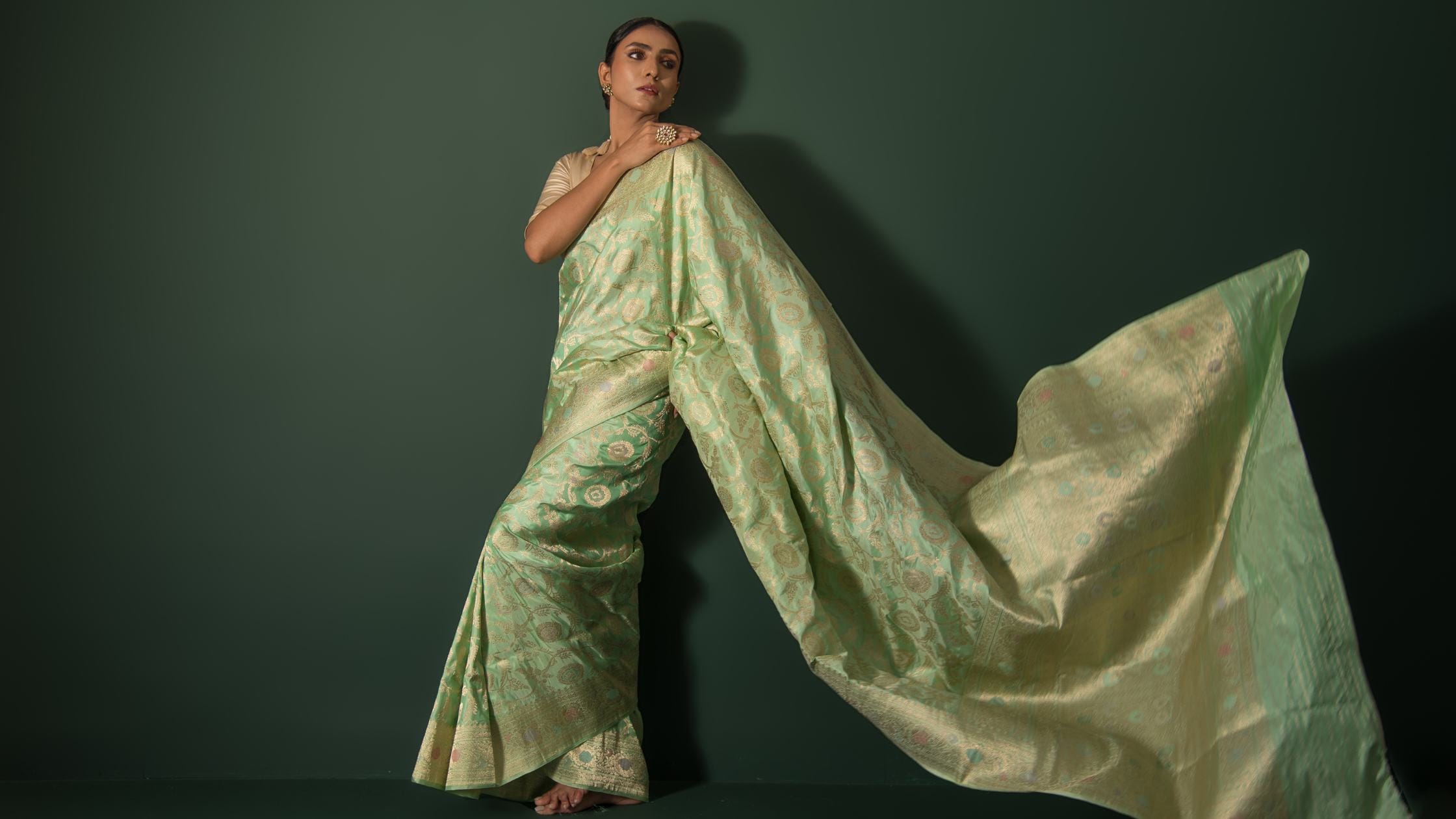 Banarasi Katan Silk Sarees